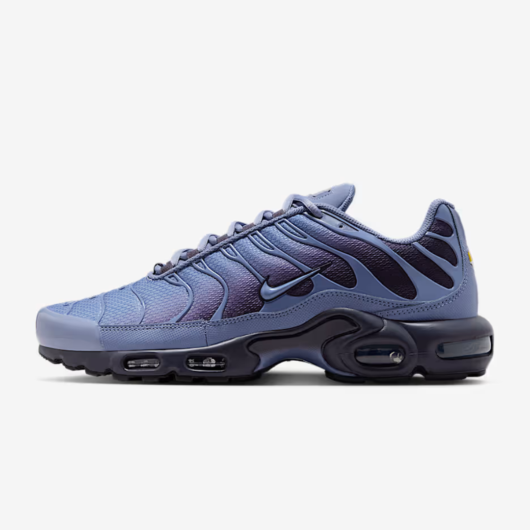 Nike Air Max TN ‘Indigo’